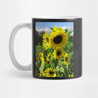 Sunflowers in a field Mug